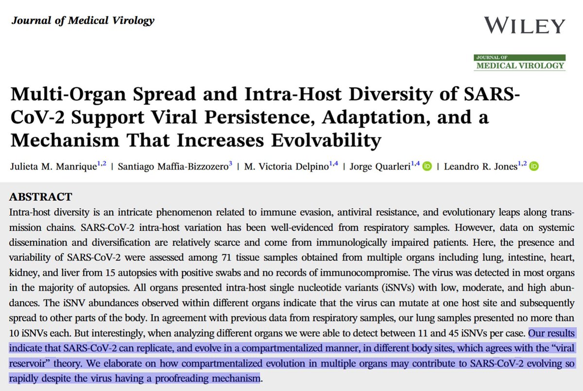 DaniBeckman's tweet photo. This study was performed in #COVID tested after death; only 25% were hospitalized, and none had records of immunocompromise. #SARSCoV2 is highly prone to compartmentalization and persistence in different organs, only confirming previous data (Nature paper from 2022, for example) https://t.co/gnC0SIC17f