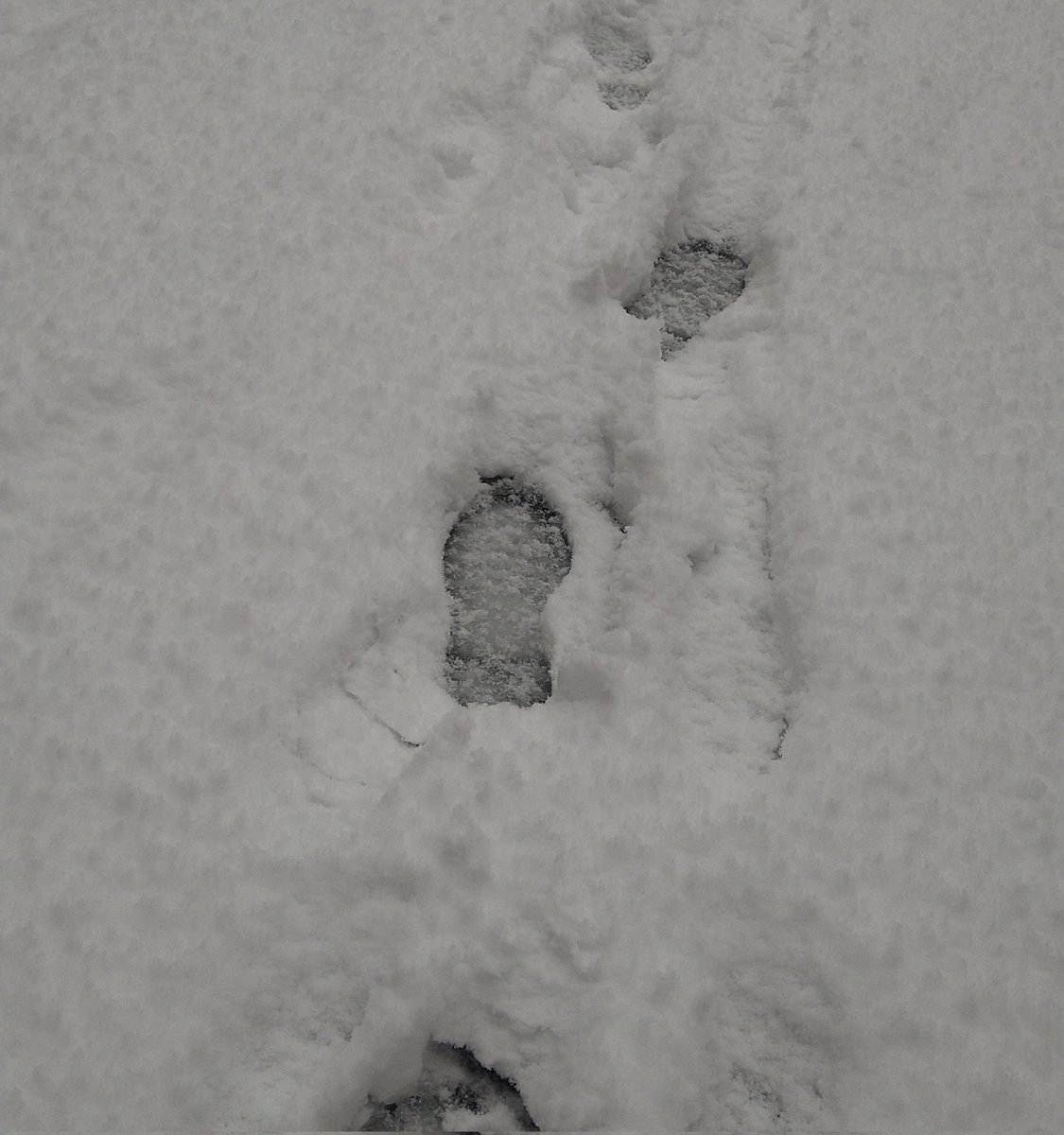 ❄︎.*
