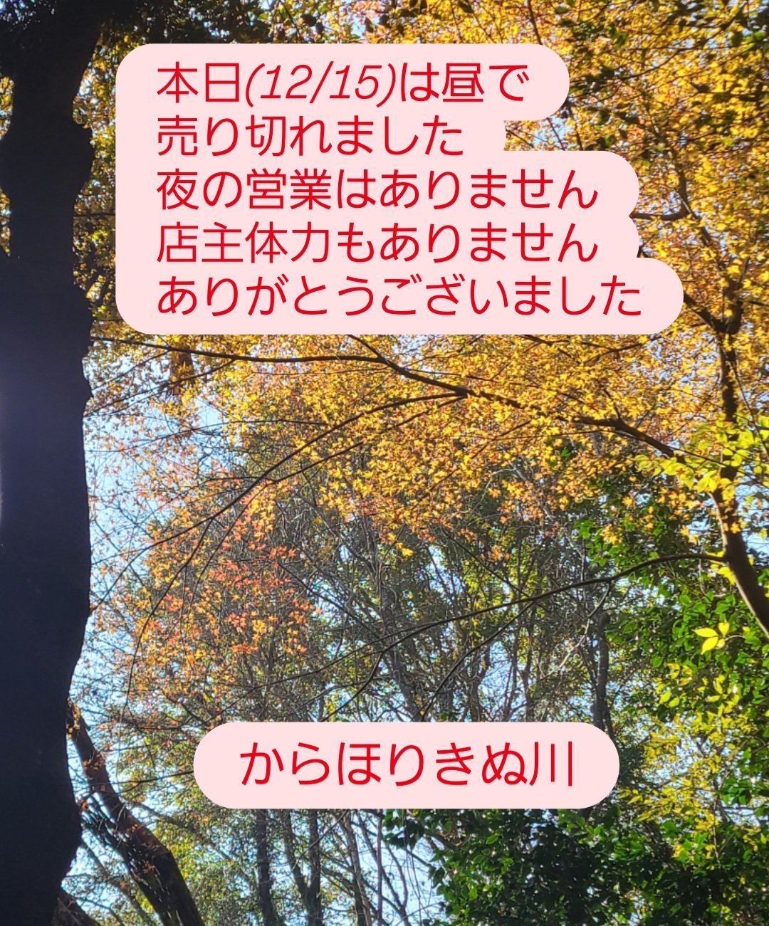 売れ切れました。 解す