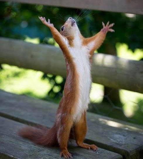 karishmatic4's tweet photo. Kale kafeeling ka kujua Krisi iko sorted juu mse ako majuu ametuma dooh! 💸 Na #EquityRemittances, pesa zinafika haraka na unazichukua kwa branch yoyote karibu. School fees, biashara, ama upkeep iko sorted!

#EquityBank @KeEquityBank https://t.co/TY5O5pSs3X
