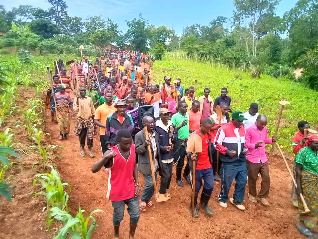EzechielNd34201's tweet photo. #Gitega
Umunyamabanga w'umugambwe @CnddFdd muri zone #Rusamaza komine Shombo #Jean_Marie_Hakorinoti kuri uyu wa 14/12/2024 yarifadikanije n'abagumyabanga mu gusanura ikiraro gihuza zone arongoye na zone #Masabo.Ibikorwa vy'iterambere vyarakozwe no muyandi ma zone.
@Gitegavutura https://t.co/JmEIAKsBdx