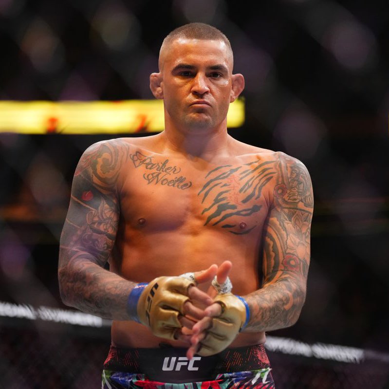 MMA Orbit tweet media