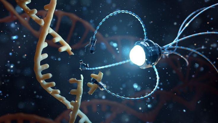 DNAAI_CTO's tweet photo. π¨ Breaking the code of possibilities with $DNAI!
Join the revolution today! ππ€
#DNAI #DNA #AI #ELONMUSK #DESCI https://t.co/dhwWMH79H8