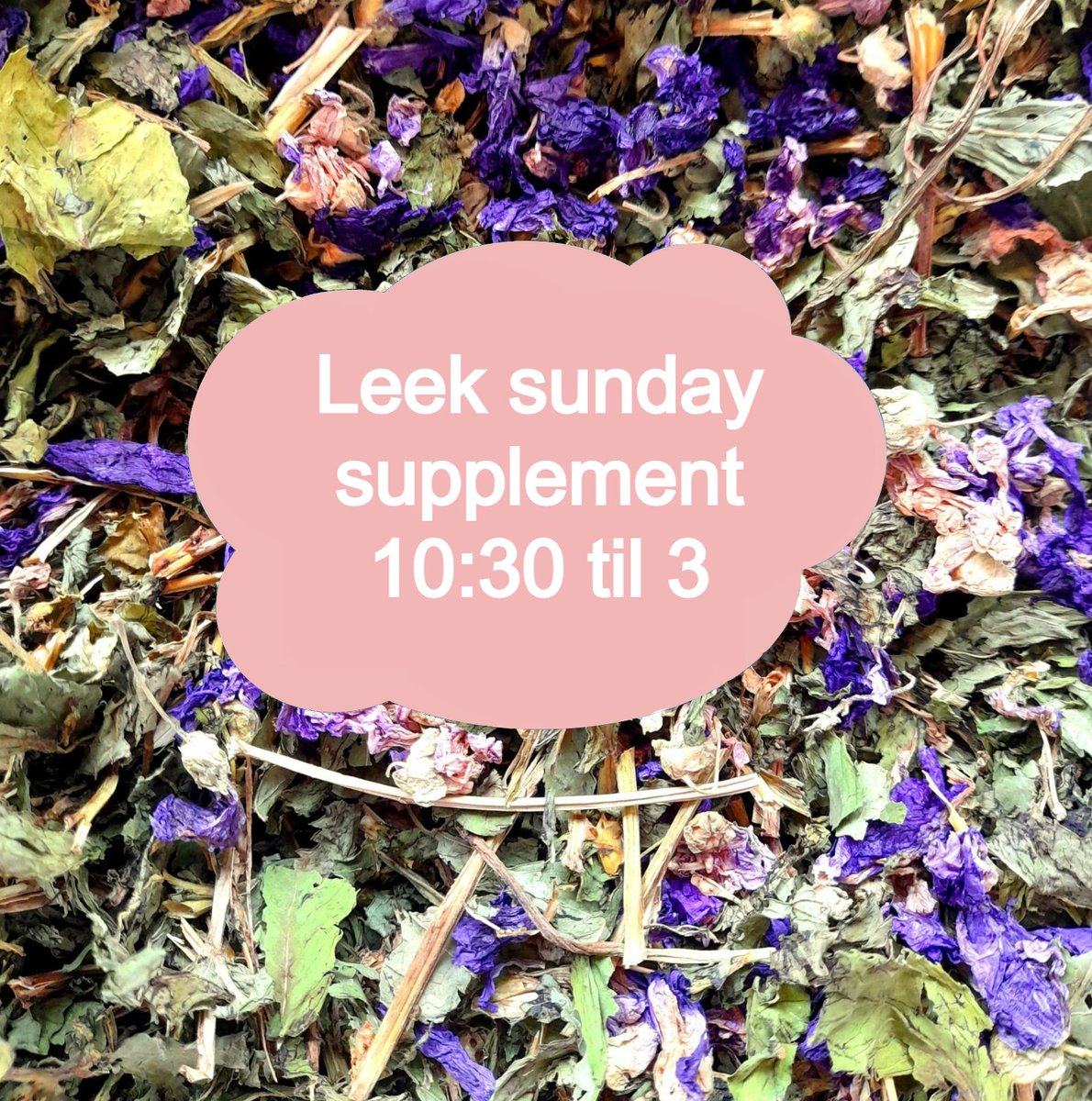 GuineapigWheekly  UK (@gpigwheekly) on Twitter photo 