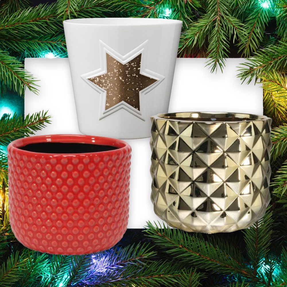 issundries's tweet photo. 🎄🎅 📆 Day 15 - Vases &amp; Plant Pots - Whether you're going for gold, festive red or forest  greens, we have the perfect containers for your designs and are perfect for pop-ins
🛒 https://t.co/PwVzuH0o3h 
#ChristmasAdvent #FloristSupplies #FloralSundries #Wholesale #TradeOnly https://t.co/D9yMkx4TJ8
