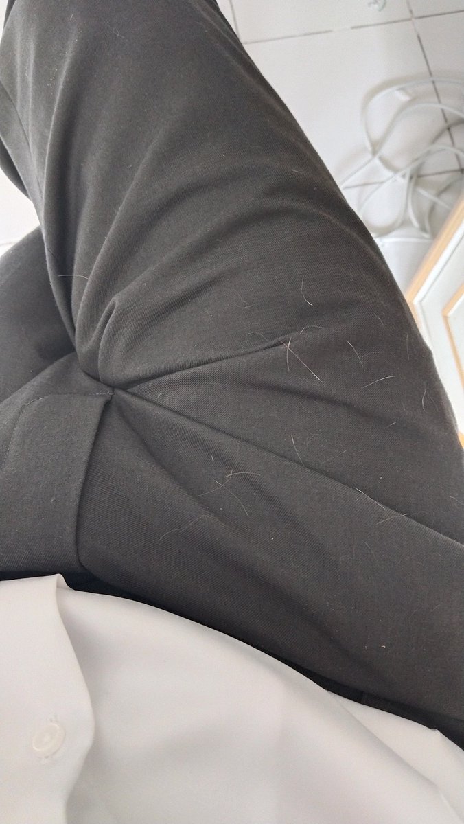 LUMTUD2's tweet photo. เลี้ยงแมวส้มก็จะแบบ...🍊🐱 https://t.co/3mGHHIyr37