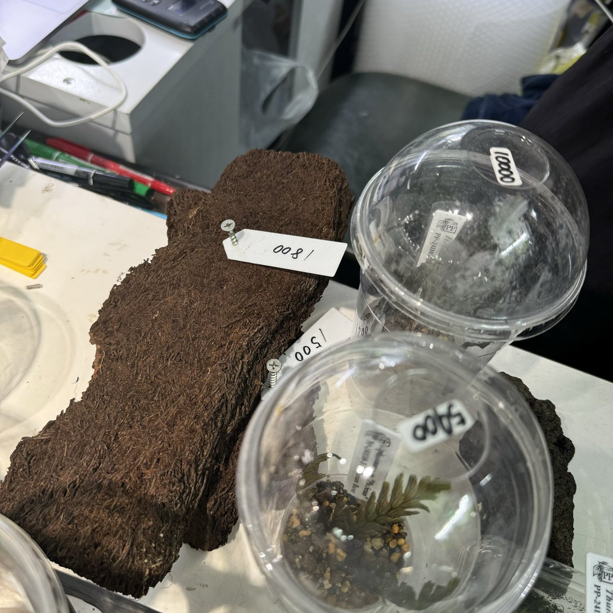 levis416's tweet image. Native forest さんの抽選会。やっぱりPP便いーね!!  #nativeforest @nativeforest