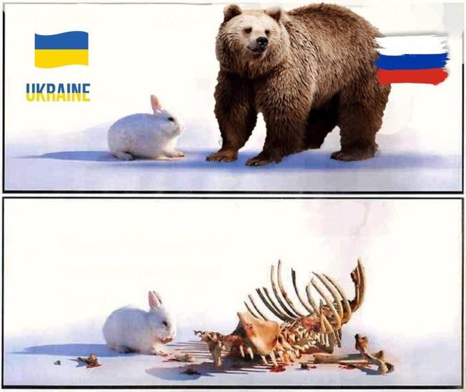 17frosted's tweet image. #ForVictory #SlavaUkraïni