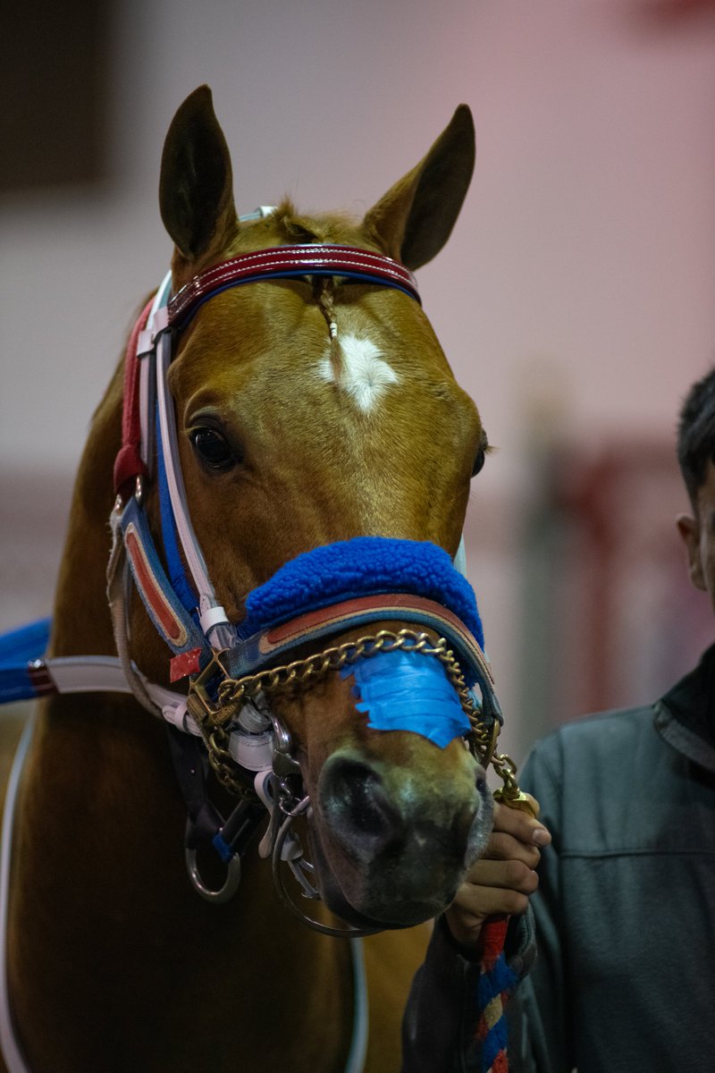 Los Alamitos Race Course tweet media