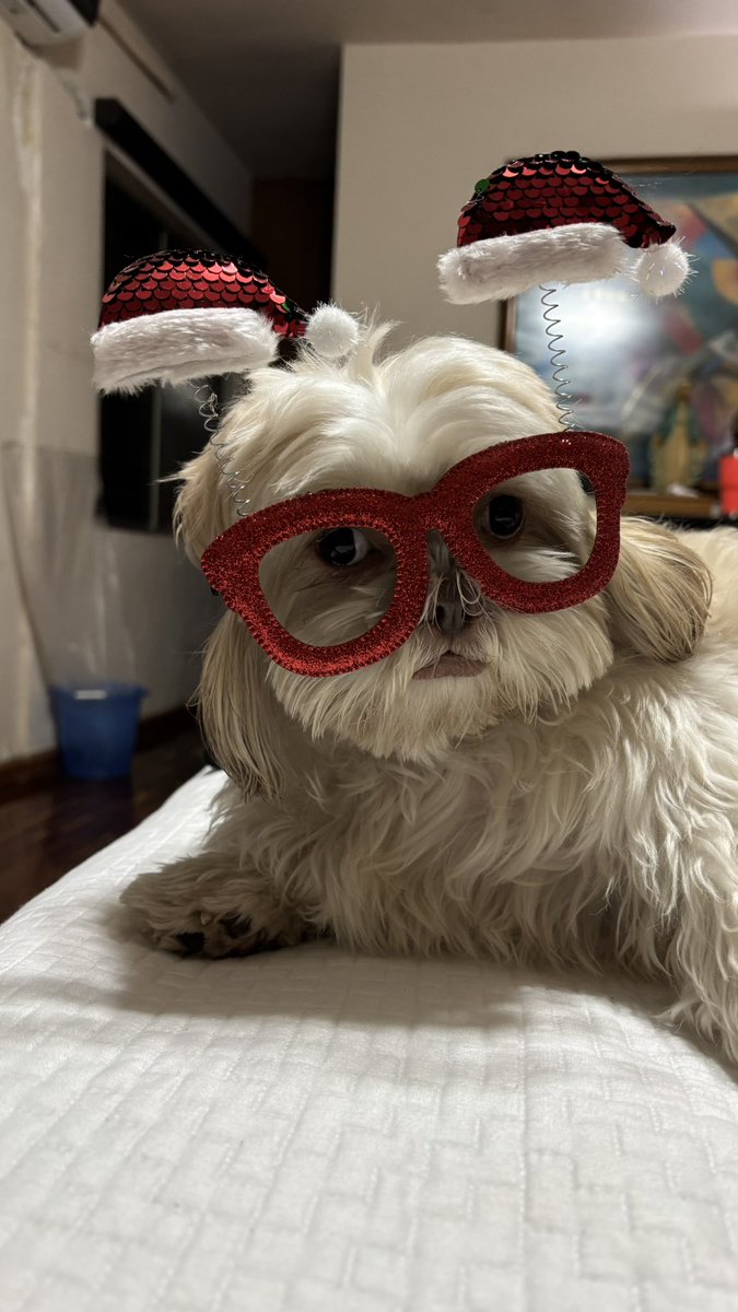 Cecilia Mares tweet media