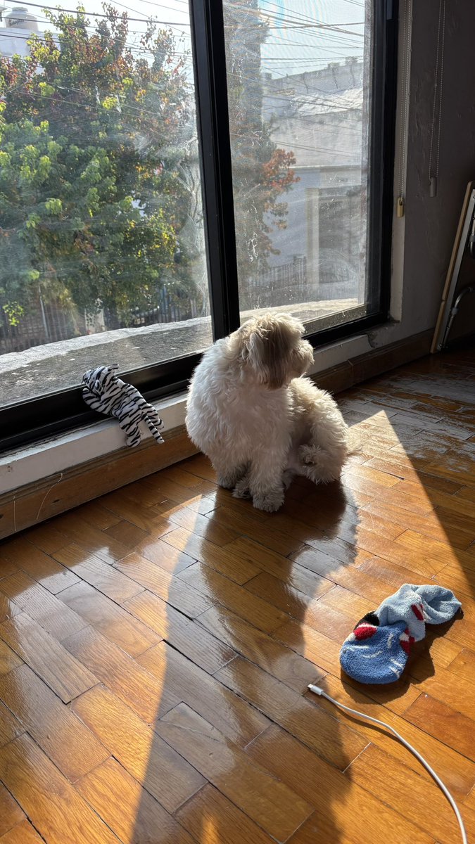 Cecilia Mares tweet media