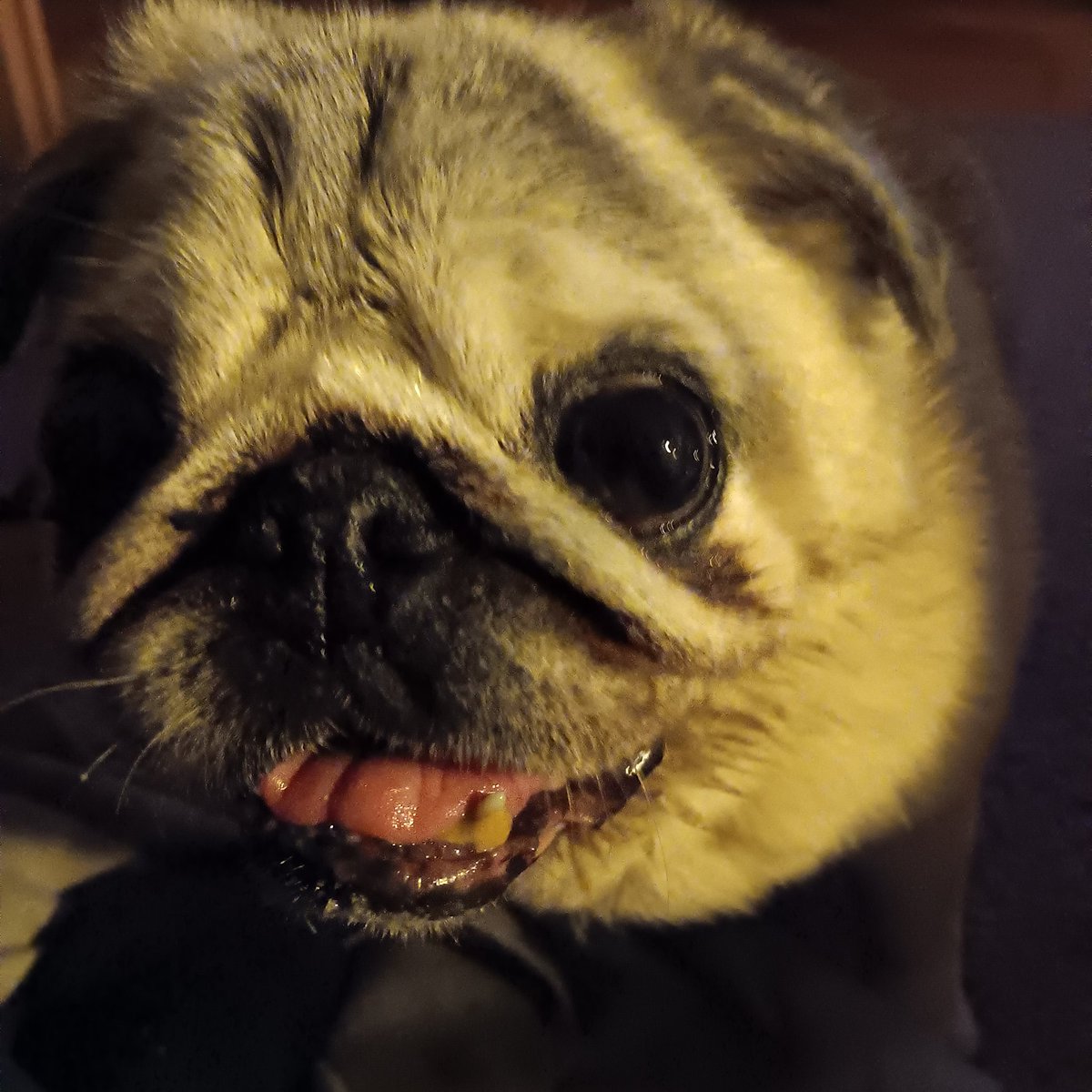 Guthen Morken😌 ich wünsch Euch einen schönen 3. Advent🥰