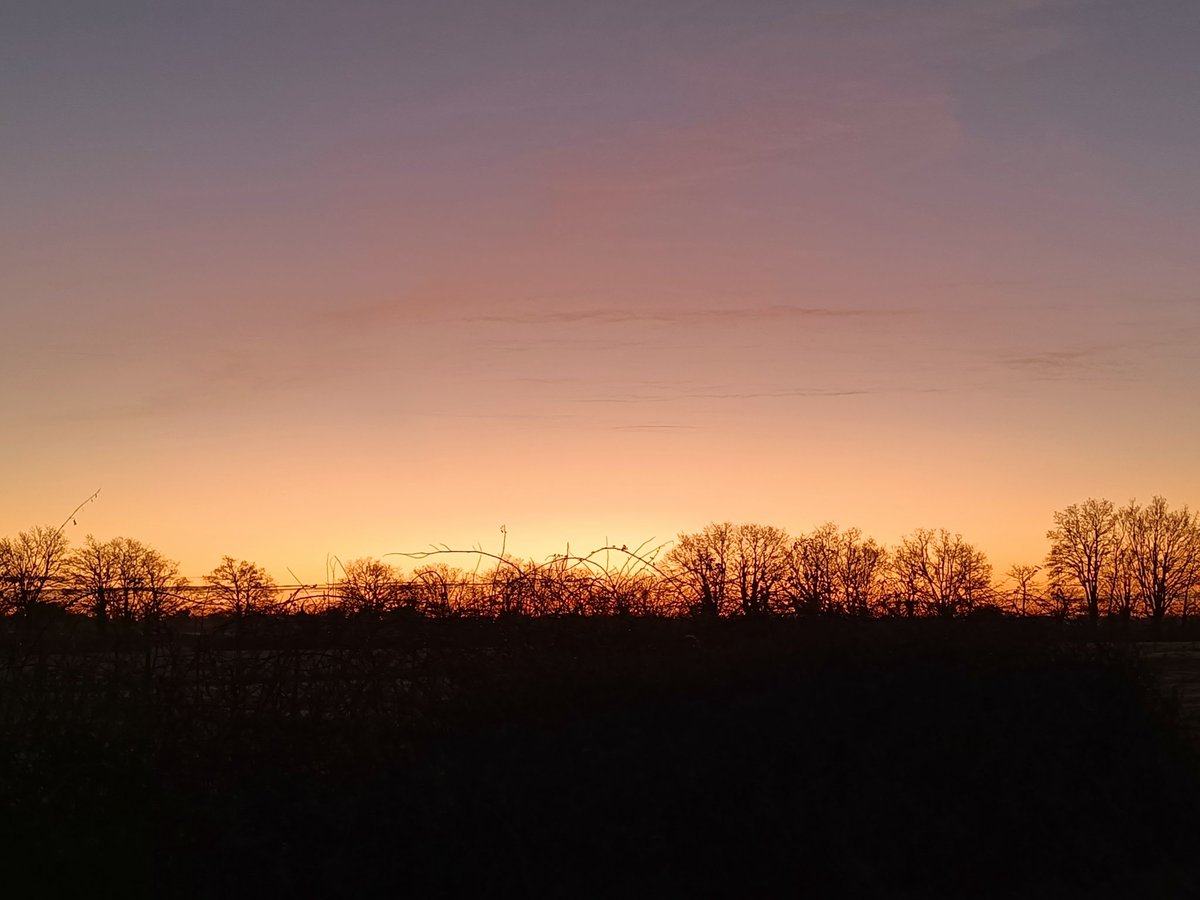 F8EXM - KZ4CQ tweet media