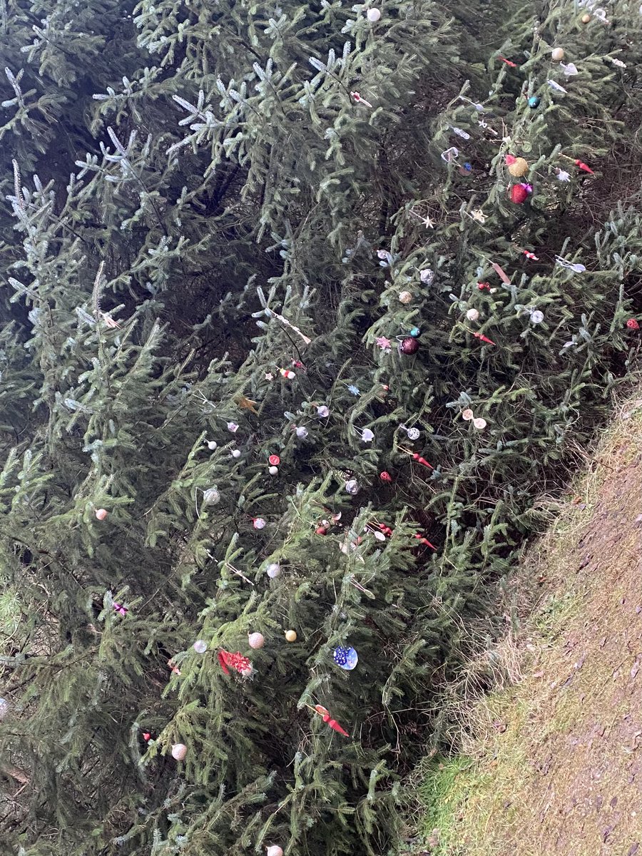 HellingtonBoots's tweet photo. A special way to remember loved ones at this time of year - the memorial Christmas tree at Langsett Reservoir.
These are some of the beautiful trimmings left by others that caught my eye. 
💕🎄
#LegsAndLaces 🥾 https://t.co/aXGLtAKG8D