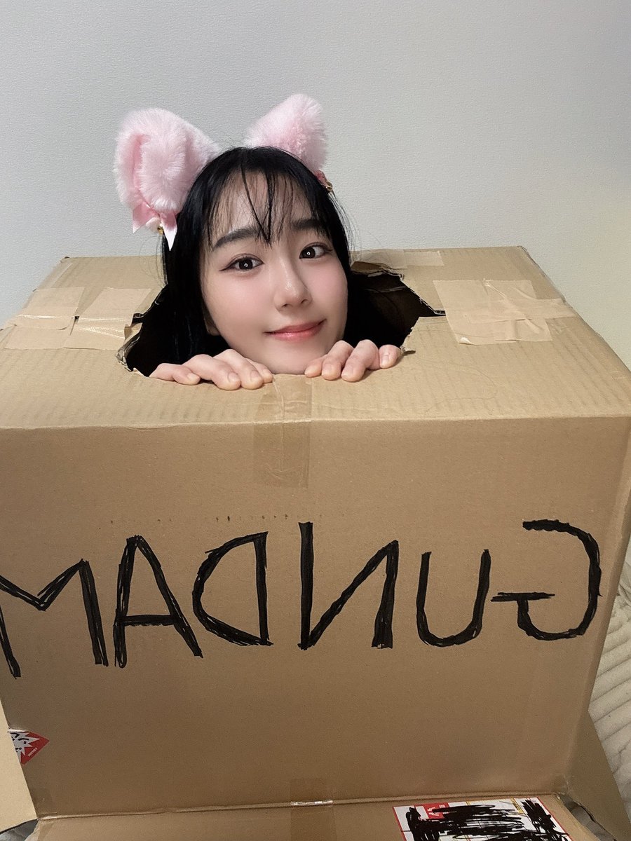 parang_o2's tweet photo. 猫ちゃん拾ってくれますか？ https://t.co/CzMtNAPebE