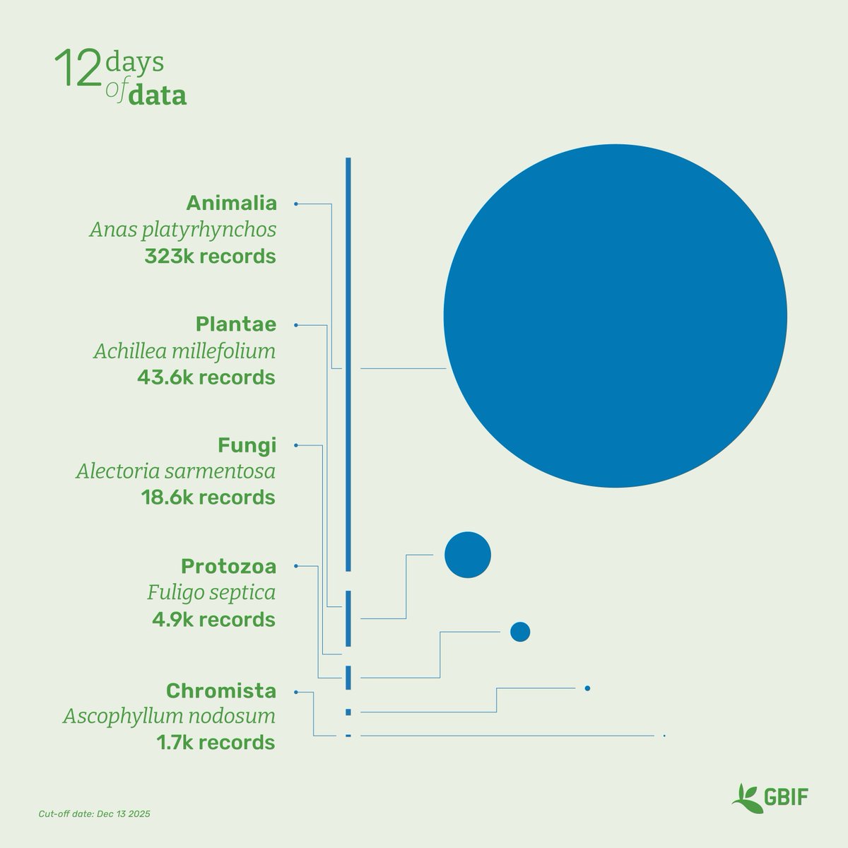 GBIF @biodiversity.social/@gbif (@gbif) on Twitter photo While all species have characteristics that make them unique, some may be considered fan-favorites  (i.e. more heavily represented in occurrence records than others). 🦆  
Check out the most recorded species by major group in 2024 to date! 🔎 #12DaysOfData While all species have characteristics that make them unique, some may be considered fan-favorites  (i.e. more heavily represented in occurrence records than others). 🦆  
Check out the most recorded species by major group in 2024 to date! 🔎 #12DaysOfData