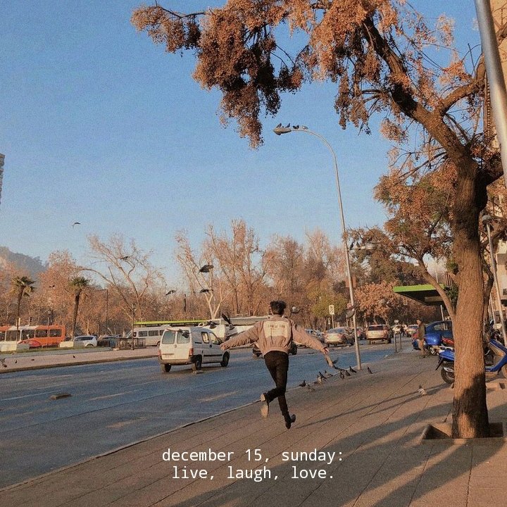 WordsCocoon's tweet image. december 15, sunday...