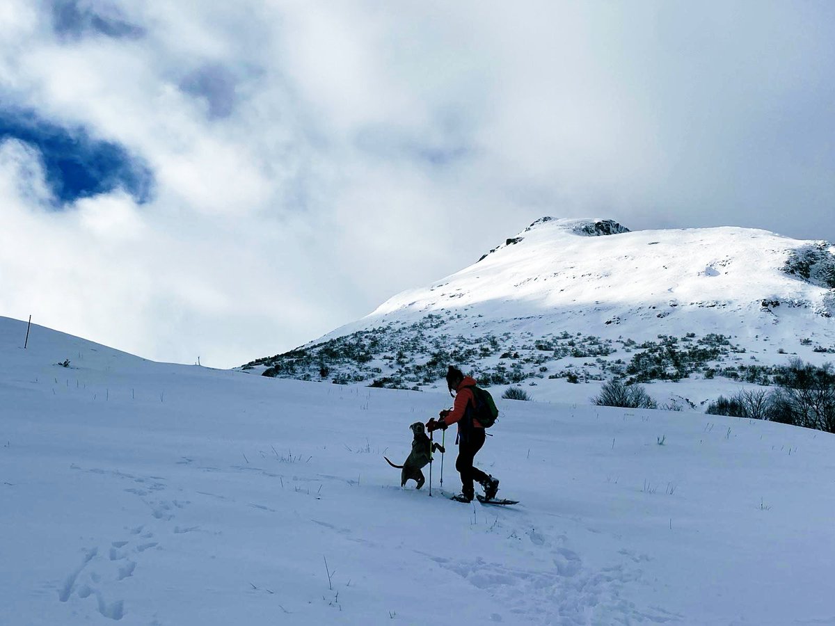 Ya ye por viciu.
<a href="/LucaAln/">Lucía 🦉</a>