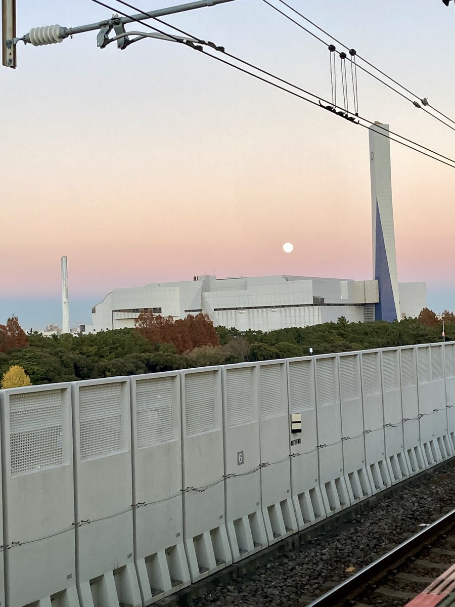 イガイガ tweet media