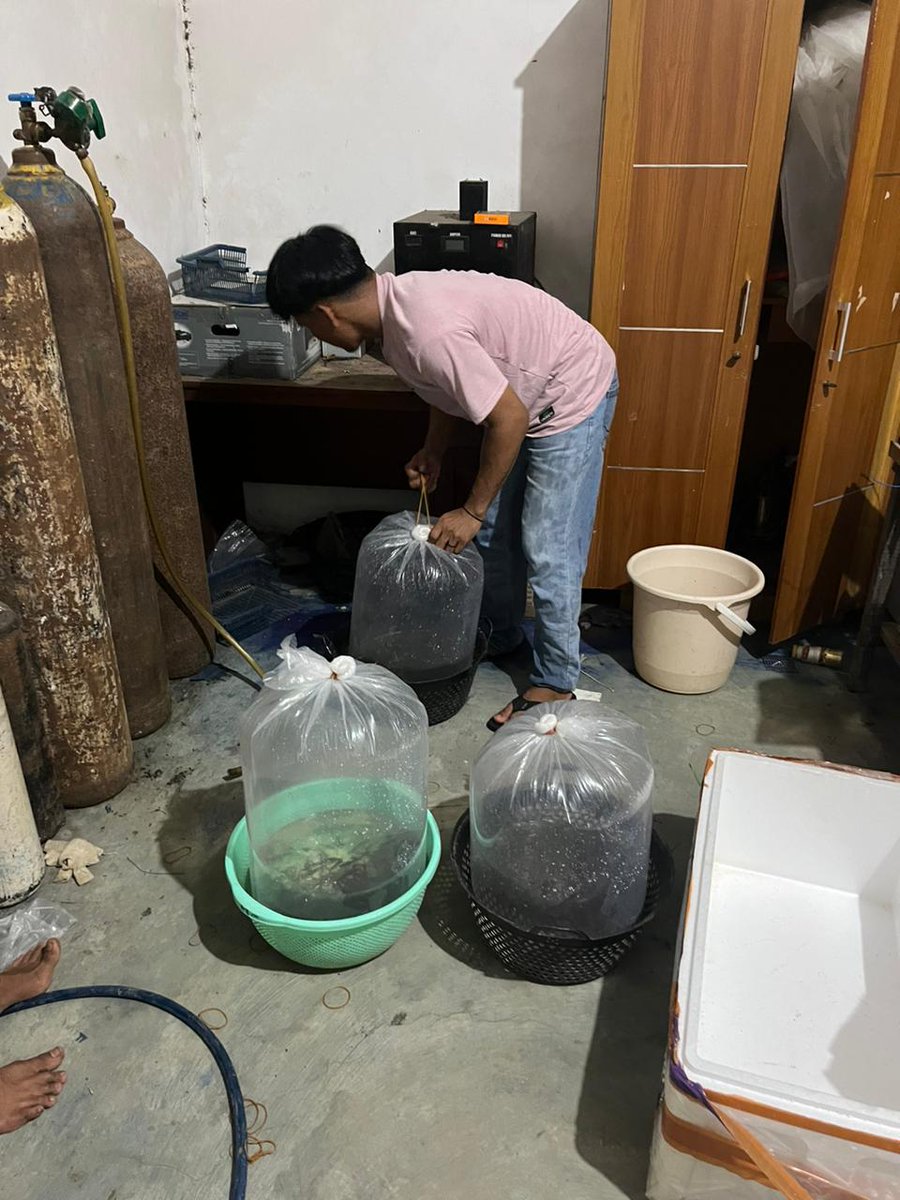 Addahsya2's tweet photo. Rabu (4/12/12), Mawaddatus Sya'adah, Luhkan Berau, benih ikan patin dari BBI Bedungun yang siap didistribusikan ke Pokdakan Bagupai Mutiara Mandiri Kp Rantau Panjang 
#GiatLuhkanSatminkalTegal
#Berau
#luhlapor https://t.co/Dbf8wJPasX