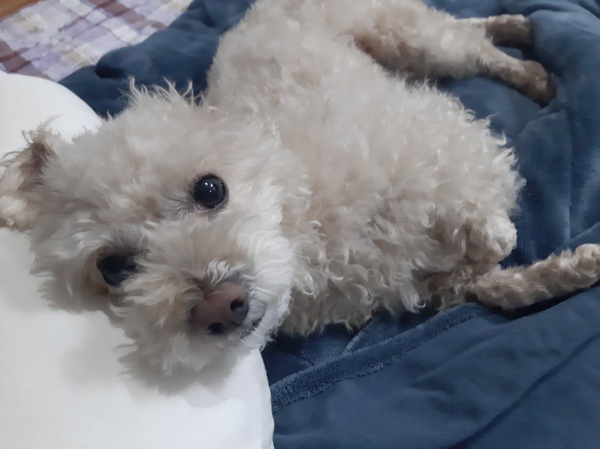 walwaling_07's tweet photo. 아니그니까나는.....
내일이 시험인데 룻디가 오늘 공연 한다는게 믿기지 않앗던 것 같아 🥲🥲 https://t.co/NwDB0HFbPa