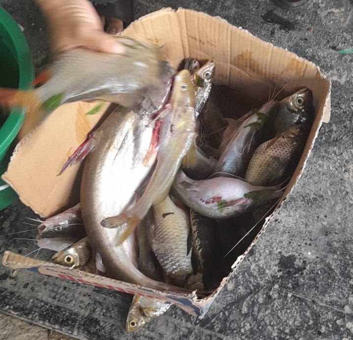 Addahsya2's tweet photo. Senin (2/12/12), Mawaddatus Sya'adah, Luhkan Berau, Melaporkan hasil tangkapan nelayan Pak Suriayanto Kp Pegat Bukur, Ikan Campuran, 10kg, harga 40rb/kg, AT. Pancing
#GiatLuhkanSatminkalTegal
#Berau
#Luhlapor 
#tangkap https://t.co/n0B5oi563G