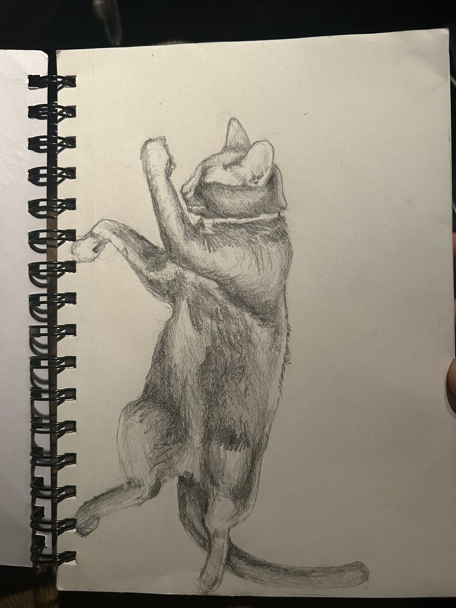 pompinaros tweet media