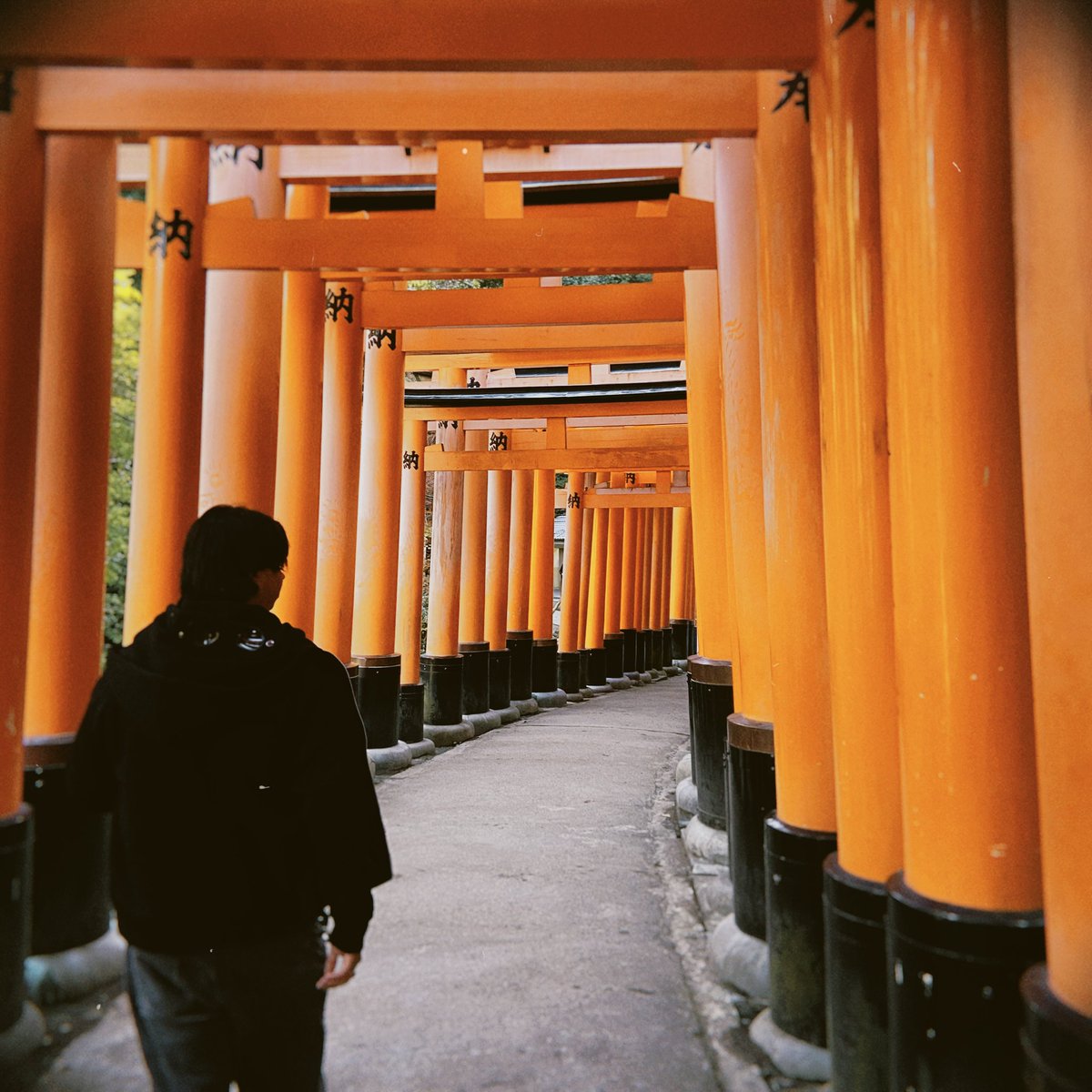 notvalelol's tweet photo. te amo japón https://t.co/8Yu6WWXxbu