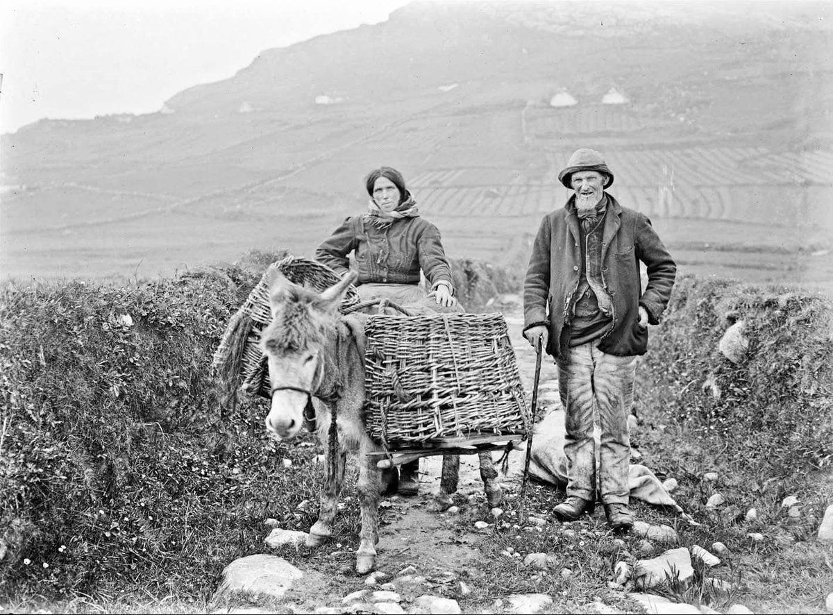 Irish History Bitesize! tweet media