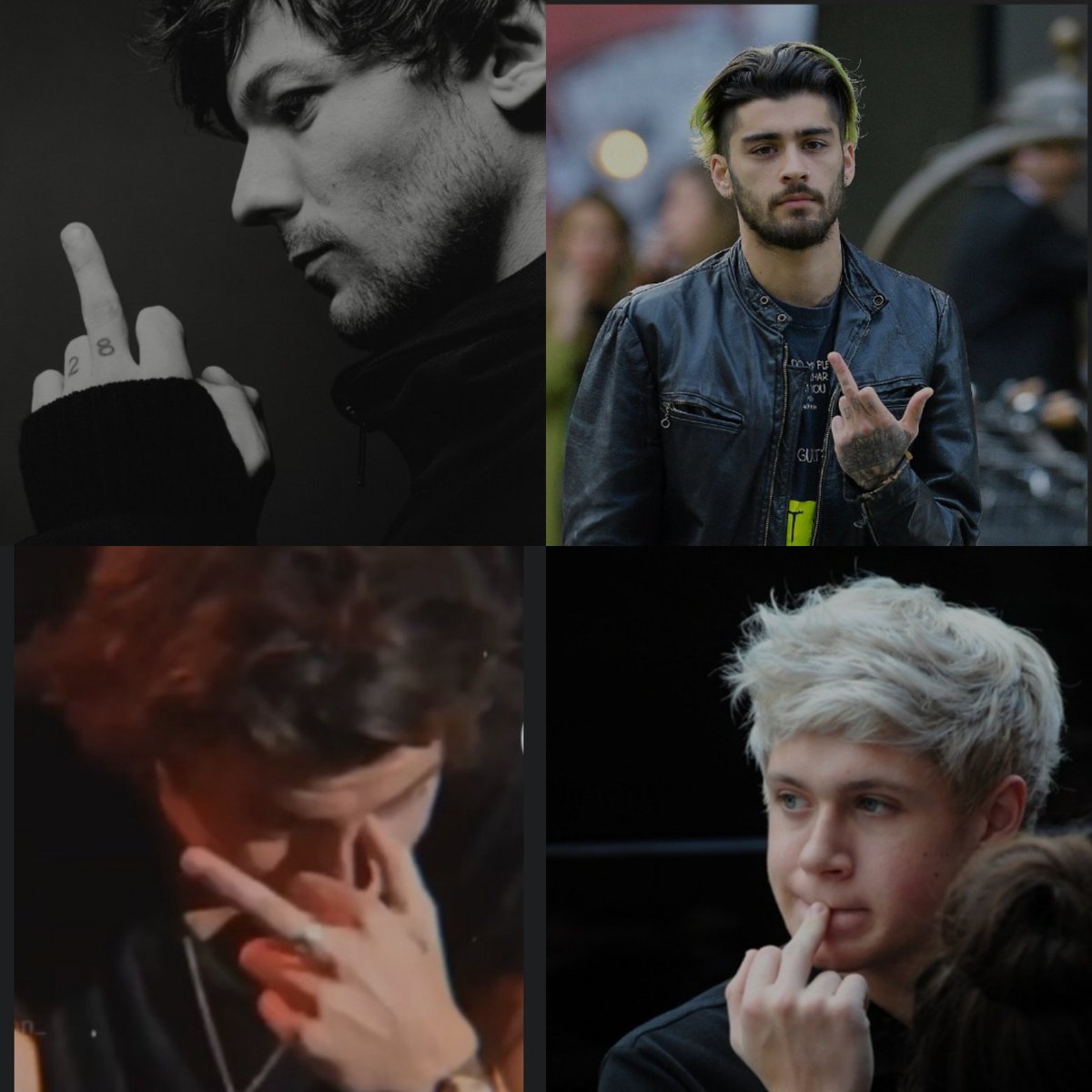 TMZ 🖕🖕🖕🖕