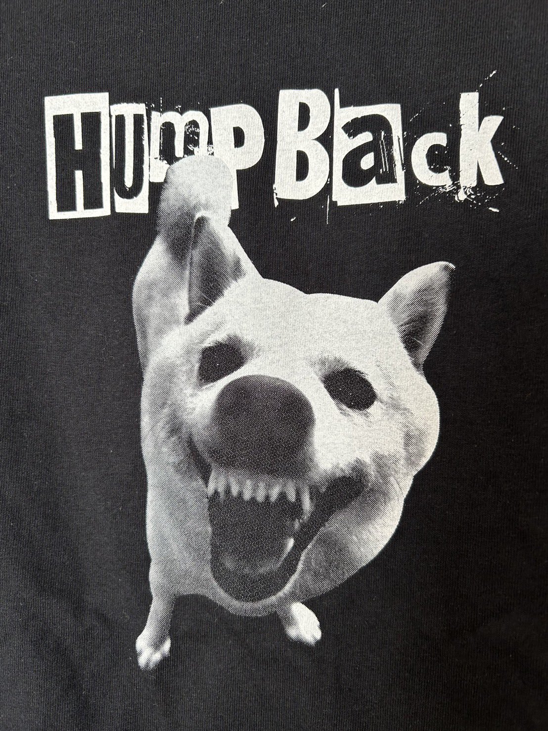 humpbuck ハンプバック cd タオル tシャツ おまけ付きシール セット Hump Back (official) on X: