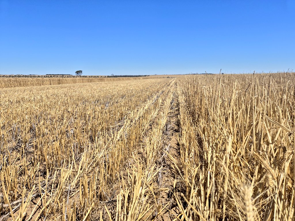 Ashley Jacobs tweet media