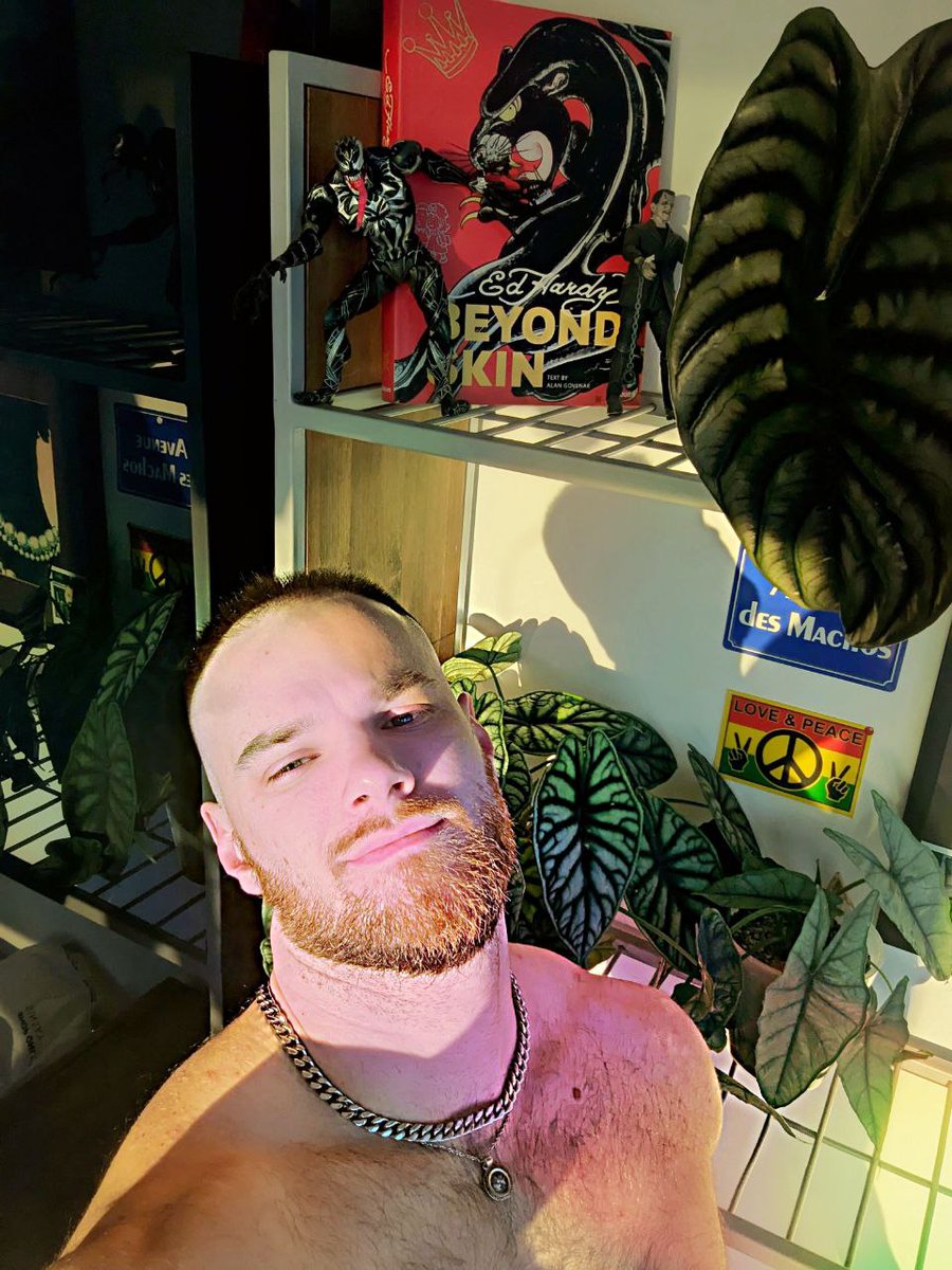 Just Alex tweet media