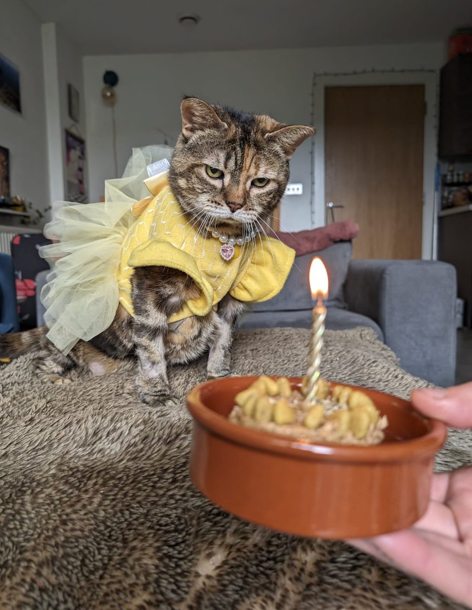 🌜ℂarrie🌛 tweet media