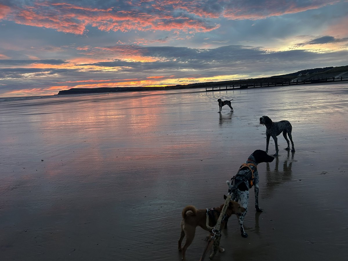 Lucy Clough tweet media