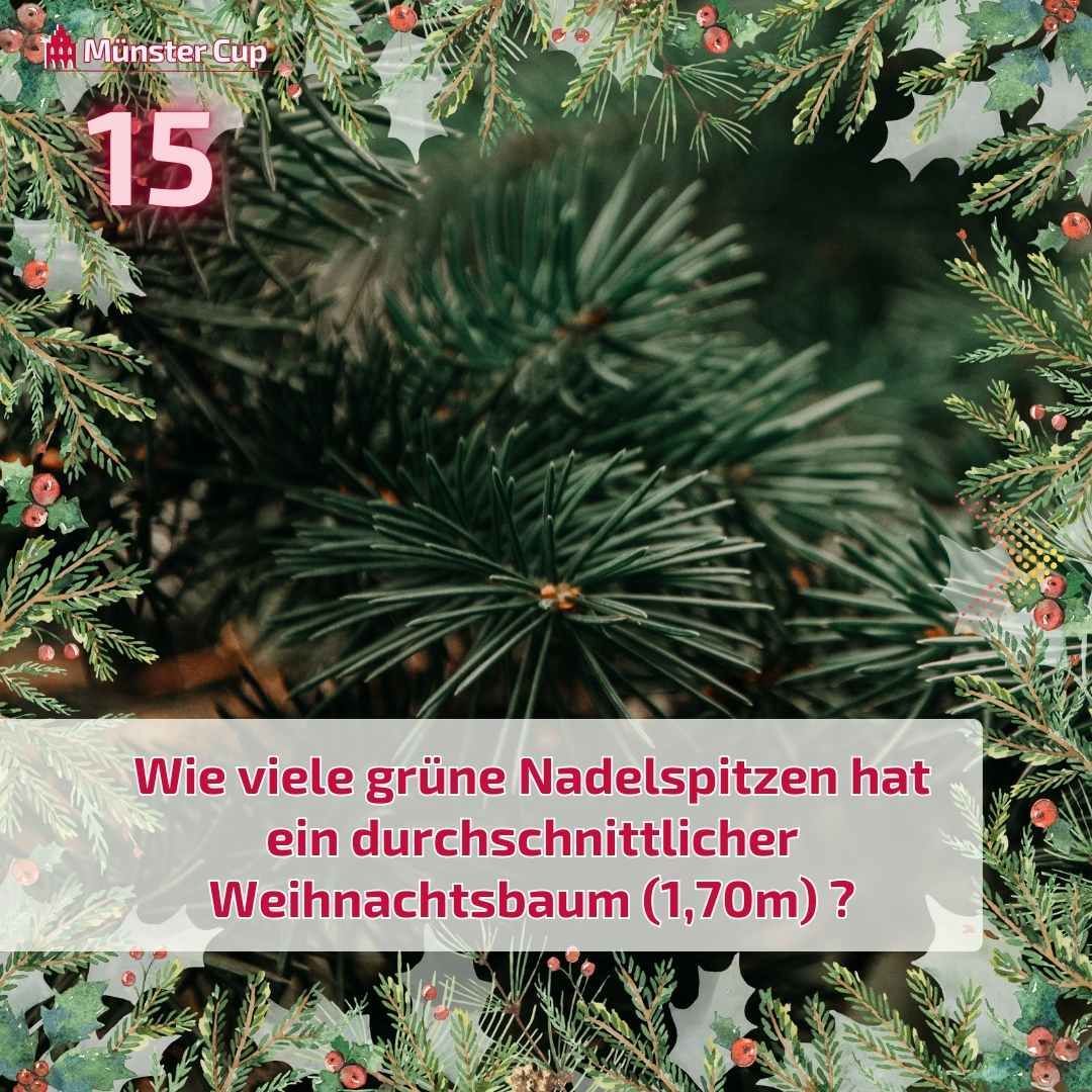 MuensterQuiz's tweet photo. 🎄 #Weihnachtsquiz! 𝚆𝚒𝚎 𝚟𝚒𝚎𝚕𝚎 𝙽𝚊𝚍𝚎𝚕𝚜𝚙𝚒𝚝𝚣𝚎𝚗 𝚑𝚊𝚝 𝚎𝚒𝚗 𝟷,𝟽𝟶𝚖 𝚐𝚛𝚘ß𝚎𝚛 #𝚆𝚎𝚒𝚑𝚗𝚊𝚌𝚑𝚝𝚜𝚋𝚊𝚞𝚖？ 
A) 180.000 Nadeln / B) 500.000 Nadeln / C) 1.000.000 Nadeln
👇 Rate mit in den Kommentaren! 🌲✨  #MünsterCup #MünsterQuiz #Münster #Weihnachtszeit https://t.co/OckLUZ3Bem