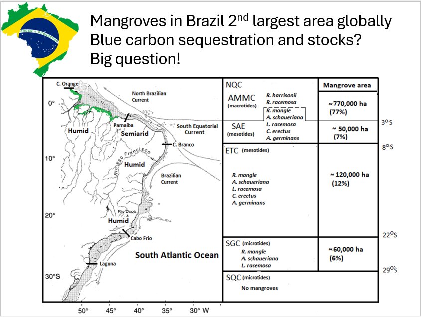 Dr Ray Ward (@drray_marine) on Twitter photo <a href="/NERC_TREES_DLA/">NERC TREES Doctoral Landscape Award</a> PhD on tropical coastal ecosystems going with me and <a href="/marine_conserve/">Ian, the mangrove doc</a>
Blue carbon of Brazilian mangroves across latitude gradients: shorturl.at/2wz8W
With some great partners in Brazil! <a href="/NERC_TREES_DLA/">NERC TREES Doctoral Landscape Award</a> PhD on tropical coastal ecosystems going with me and <a href="/marine_conserve/">Ian, the mangrove doc</a>
Blue carbon of Brazilian mangroves across latitude gradients: shorturl.at/2wz8W
With some great partners in Brazil!