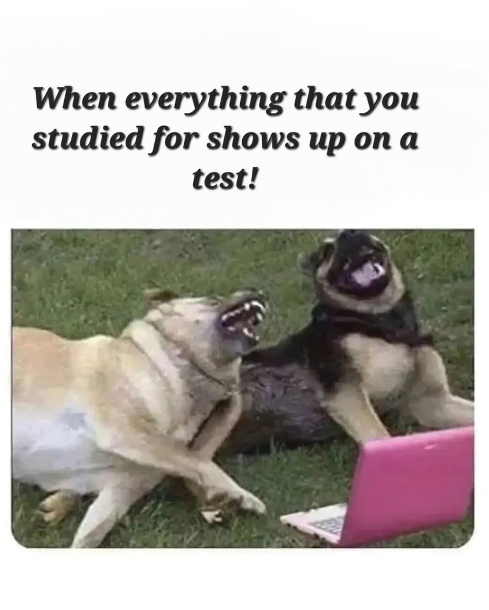 KatieEssays's tweet image. When everything you studied shows up on a test! 😊😊

You know that feeling of relief and joy? That&apos;s what you get when you trust @KatieEssays for your academic needs. No more surprises, just well-prepared answers!

Subjects we cover:
#Business
#Discussionposts
#Biology…