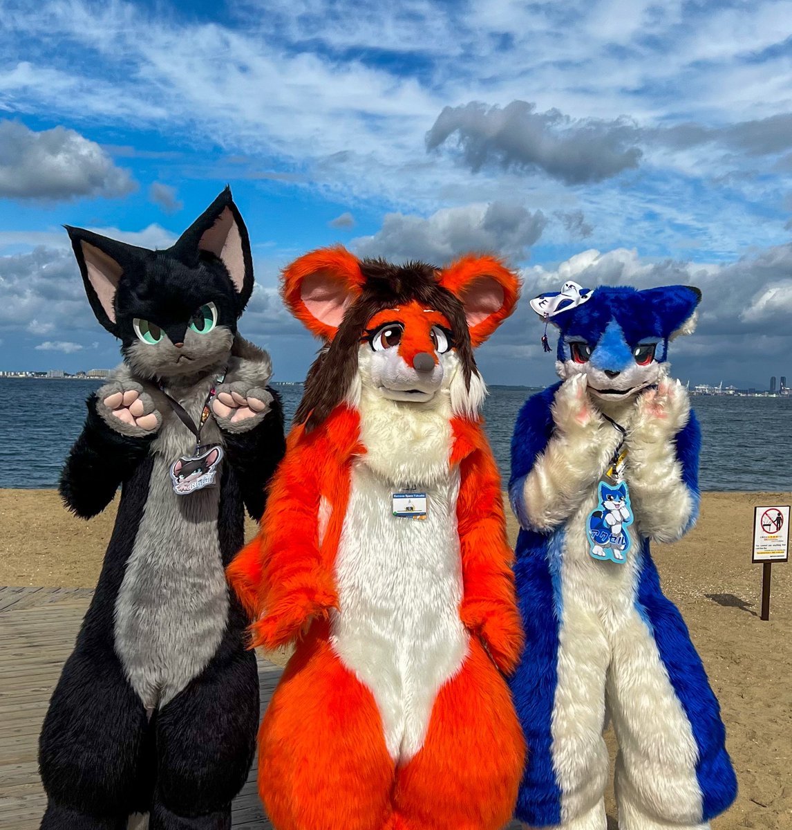 happiness00511's tweet photo. #FursuitEveryday
#KSF3rd
#CFF
多分今年最後のイベントはこれだったわね...ケモノスペースまた���加したくなっちゃったわ♪
📸:@ TOY_BCat
🐈⬛:@ KenichiWakisak1
🦊:@ ILOVEjecht1192 https://t.co/CFcQdy5KCr