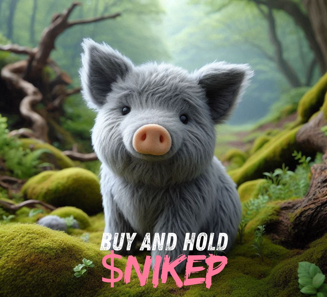 GM $NIKEP
#CardanoAda #CNFT #memecoin