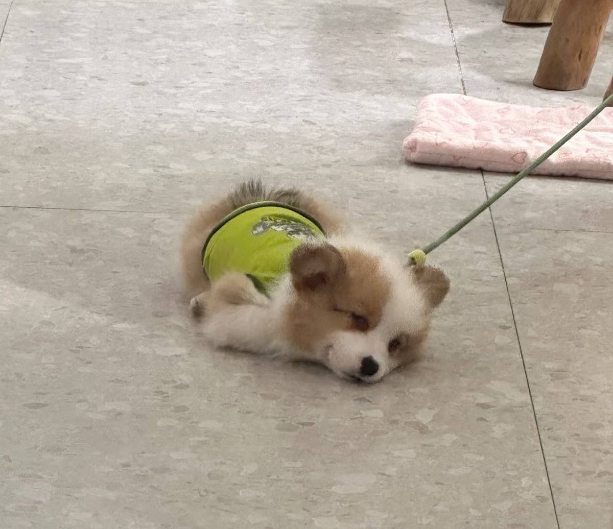 รางวัลเก่าๆ แห่งปีได้แก่ ป๋ม