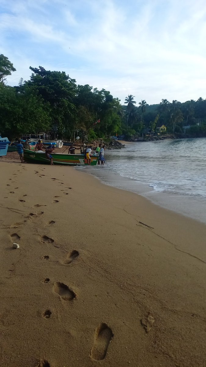 Mweerathunga2's tweet photo. toursrilankawb https://t.co/5qHBRpFPye