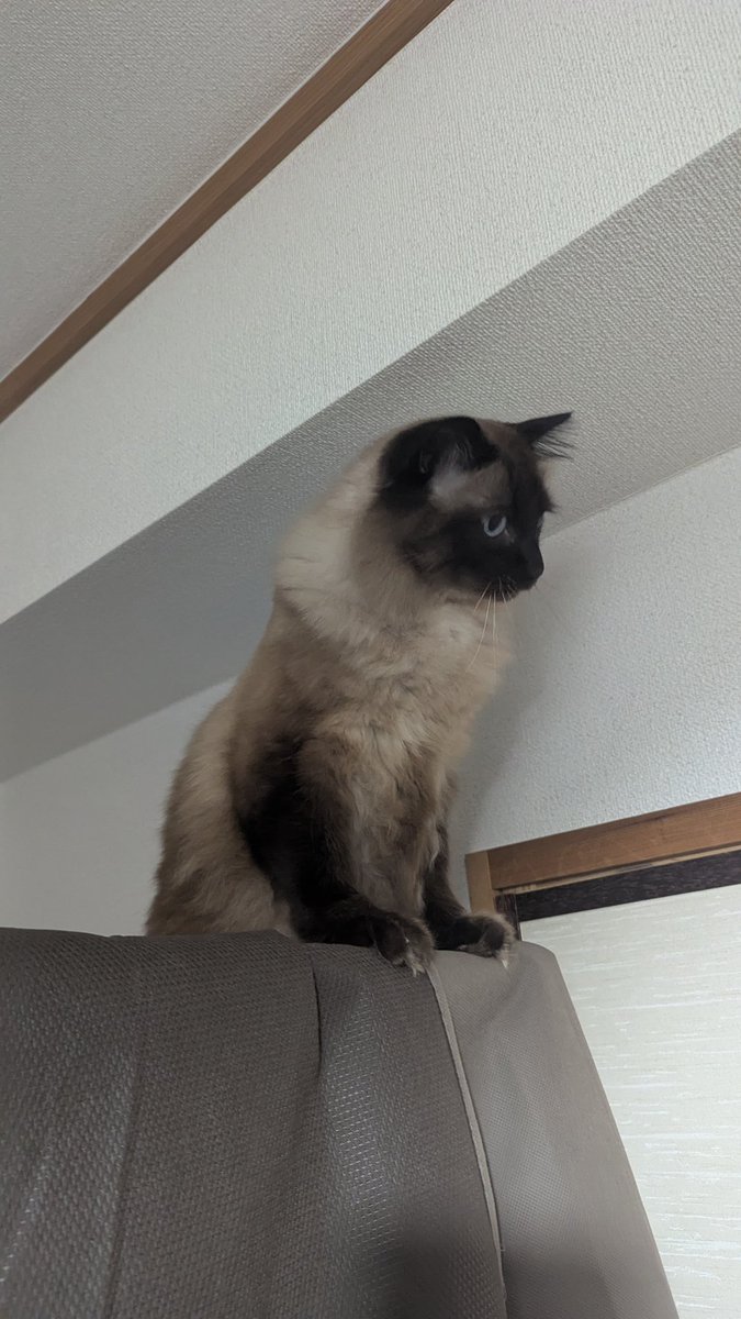 何かを見つけた模様…。