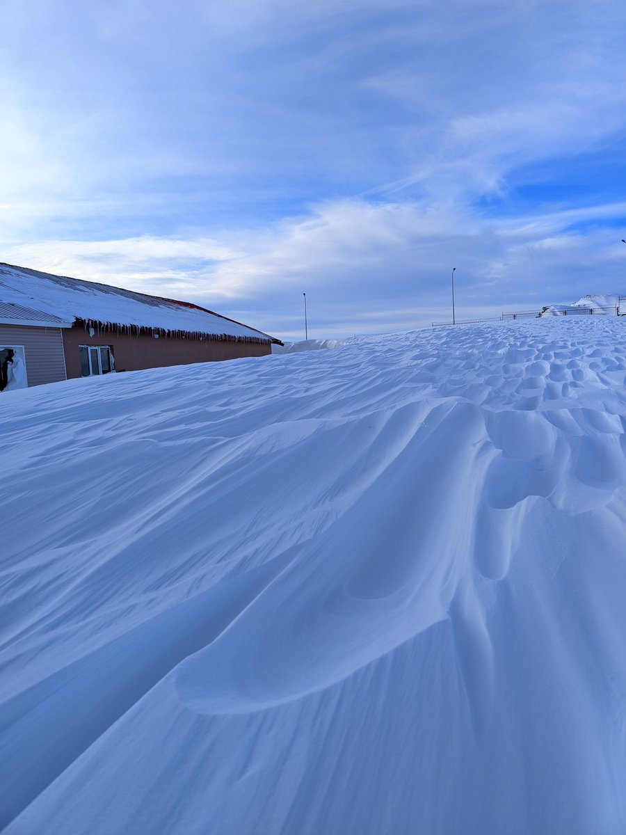 Andromeda_sir's tweet photo. Sahara Dağı Çam Geçidi (2470m) (Ardahan-Artvin). (15.12.2024). https://t.co/KHRchXQrAK