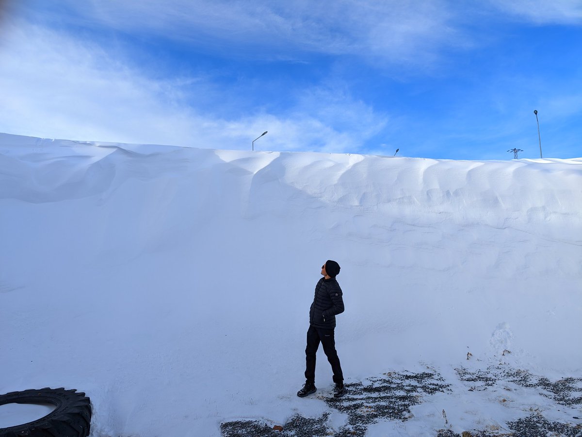 Andromeda_sir's tweet photo. Sahara Dağı Çam Geçidi (2470m) (Ardahan-Artvin). (15.12.2024). https://t.co/KHRchXQrAK