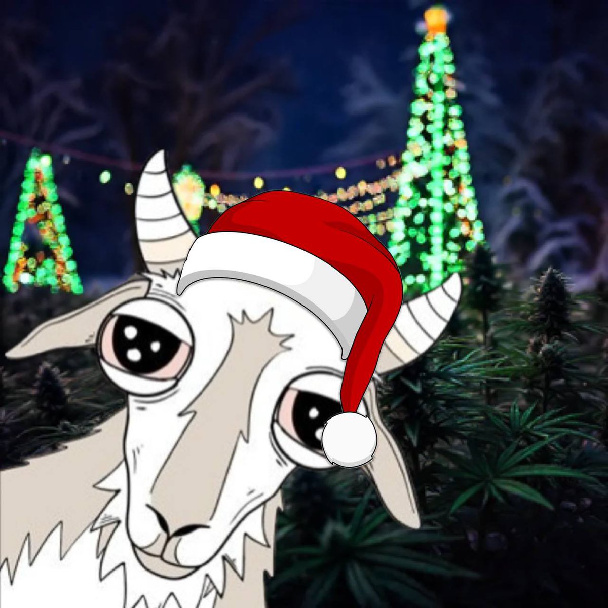 ChainzCrypto's tweet photo. @jackthegoatsol @GoatedDegen $JACK the Goat 🐐🚀 https://t.co/NzJ0Q6yupk