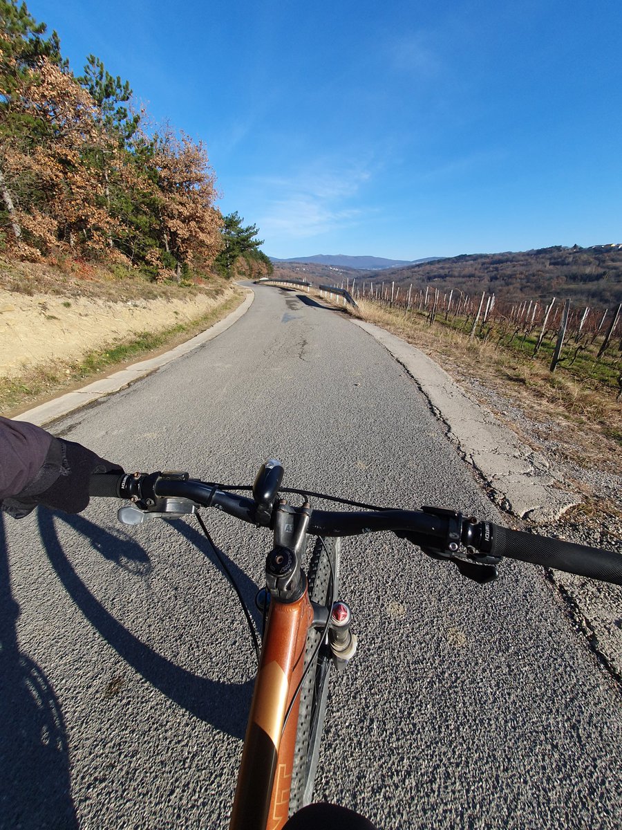 IgorB090371's tweet photo. 🚴‍♂️💪🌞.....#cyclingisfreedom https://t.co/Ehpi8Uv32u