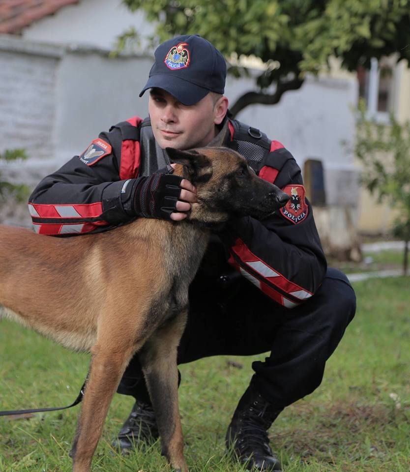 serb_data's tweet image. 🟥BREAKING: Kosovo breaks sanctions with Russia as they buy 15 trained dogs by the Russian Sexual Assault Agency(PACH).

KosPol(Kosovo Police) Chief of Strategy said that the reasoning was: to use the dogs trained to sniff Russian cum to identify undercover serbs in Kosovo.
