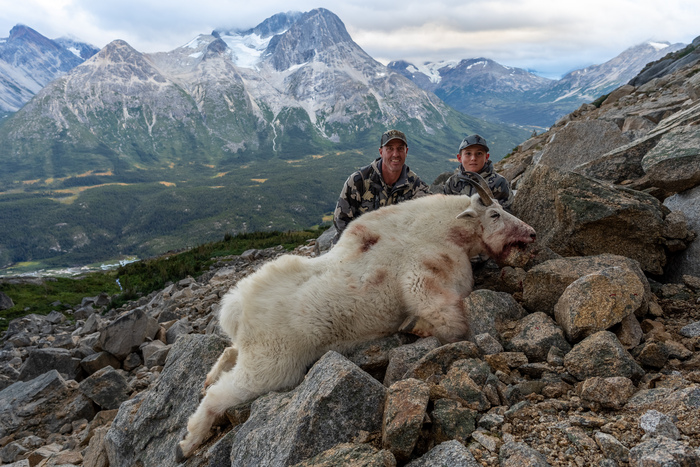SPORTSMANchnl's tweet photo. Greg's son, ten year old Kolter, and his hockey coach, hunt British Columbia Mountain Goats.
Greg McHale's Wild Yukon / MONDAY AT 10:30 PM ET.
#ITSINOURBLOOD #hunting #outdoors #mountaingoat #goathunting #BritishColumbia
. https://t.co/nvy8UuWSBT