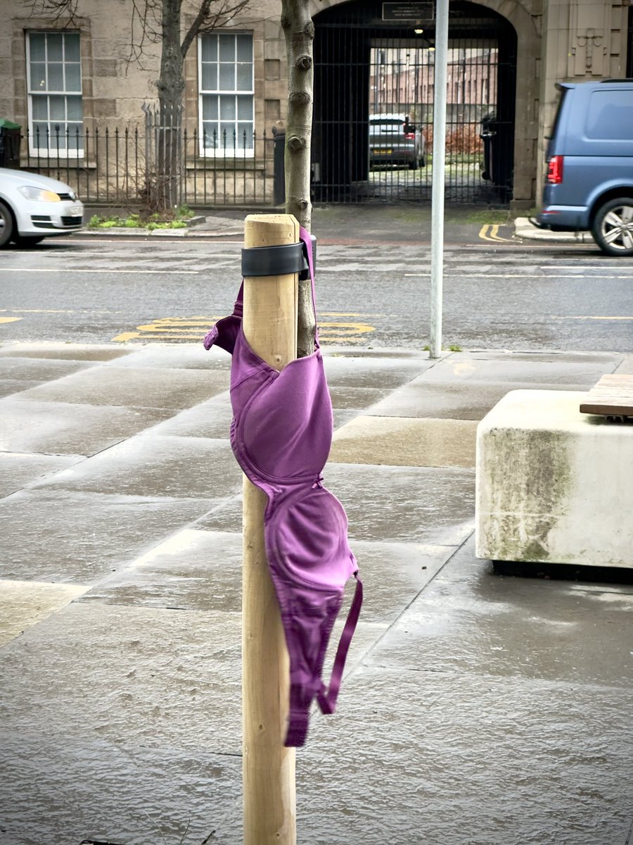 Really enjoying Leith’s Christmas decorations this year!